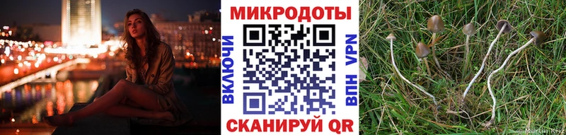 Галлюциногенные грибы MAGIC MUSHROOMS Губаха
